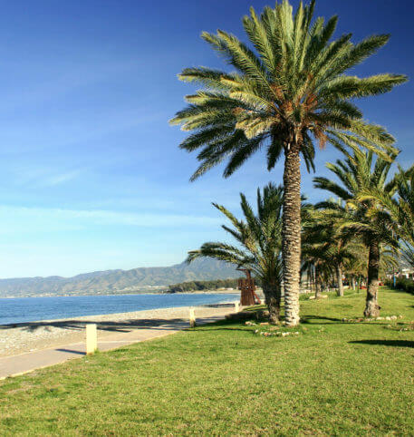 Palm trees by the sea on a beach in Cyprus.Cyprus holidays and vacations package.