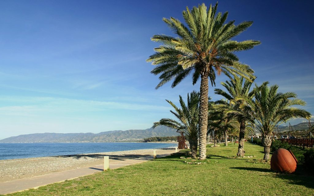 Palm trees by the sea in Cyprus. The Discovery of Cyprus holidays package.