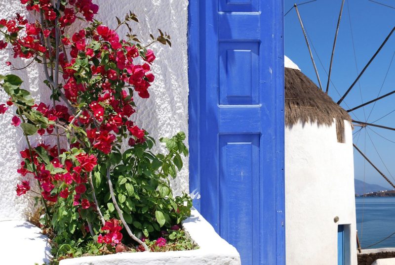 Red flowers, blue doors and a windmill in Mykonos island. Homeric Tours holidays package.