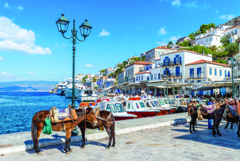 Donkeys by the sea and beautiful traditional houses in a Greek island.